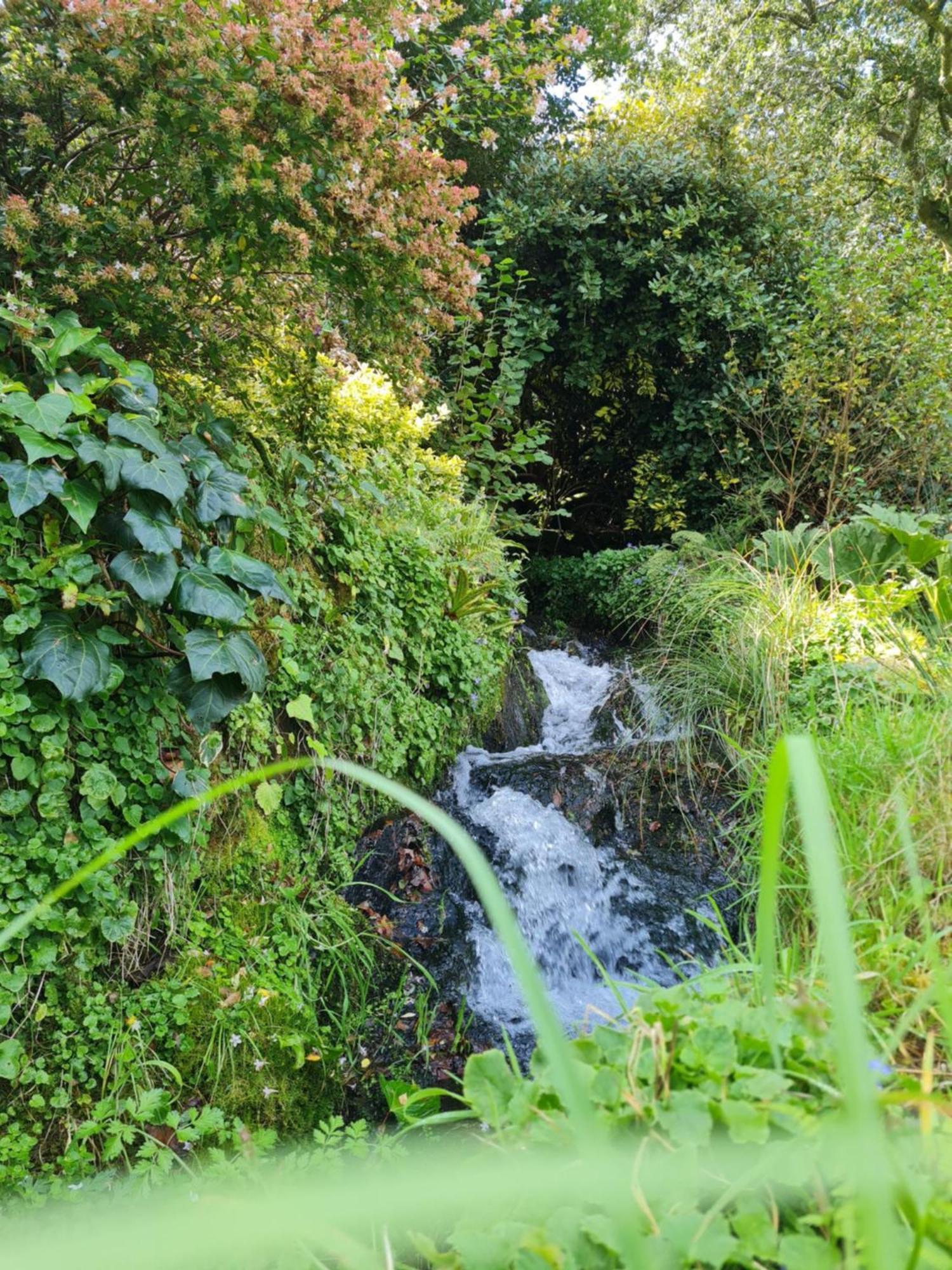 Vila Moulin De Bonnescat Plogonnec Exteriér fotografie
